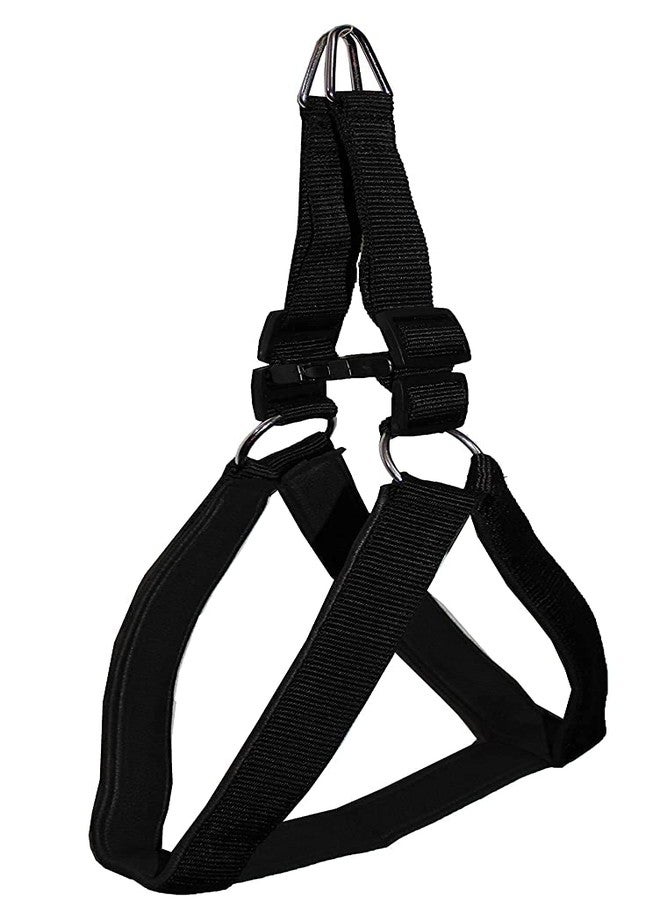 KittuPet حزام ومقود للكلاب قابل للتعديل ومبطن بالنايلون من KittuPet (1.25 بوصة، أسود) - Image 2